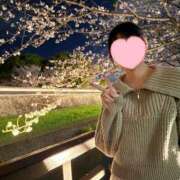 ヒメ日記 2026/04/02 00:54 投稿 みるく Jewelry club（ジュエリークラブ）