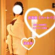 はるか 【合言葉】15:00までいるよ🧸 luxury spa 風雅