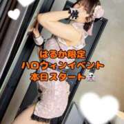 ヒメ日記 2026/10/13 09:12 投稿 はるか luxury spa 風雅