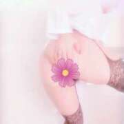 ヒメ日記 2025/03/01 19:46 投稿 吉岡 莉乃 こあくまな熟女たち 京都店(KOAKUMAグループ)