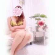 ヒメ日記 2025/03/19 14:26 投稿 吉岡 莉乃 こあくまな熟女たち 京都店(KOAKUMAグループ)