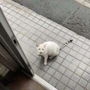 ヒメ日記 2025/04/14 00:21 投稿 まお モアグループ 土浦人妻花壇