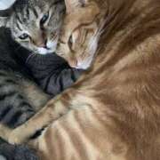 ヒメ日記 2025/10/04 14:33 投稿 まお モアグループ 土浦人妻花壇