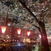 ことみ 今日出勤するよ〜🌼 上野ハンドメイド