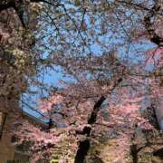 ヒメ日記 2026/04/08 13:09 投稿 ことみ 上野ハンドメイド