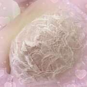 ヒメ日記 2025/08/24 11:56 投稿 たかこ メガ豚