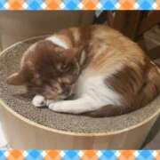 ヒメ日記 2025/04/05 22:13 投稿 上原 そら メルビス＆アトリアーナ