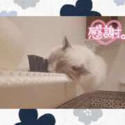 ヒメ日記 2026/01/06 05:55 投稿 上原 そら メルビス＆アトリアーナ