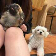 ヒメ日記 2025/01/21 17:22 投稿 あき NEO不夜城