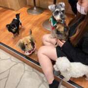 ヒメ日記 2025/02/24 17:22 投稿 あき NEO不夜城