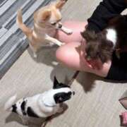 ヒメ日記 2025/03/04 18:22 投稿 あき NEO不夜城