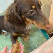 ヒメ日記 2025/10/02 22:59 投稿 あき NEO不夜城