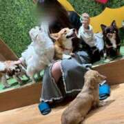 ヒメ日記 2025/10/14 22:29 投稿 あき NEO不夜城