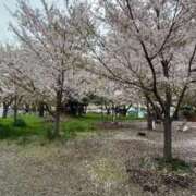 ヒメ日記 2026/04/08 11:59 投稿 あき NEO不夜城