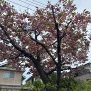 あき お散歩日和☀️ NEO不夜城