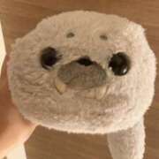 ヒメ日記 2025/03/07 09:58 投稿 みぞれ 逆痴漢