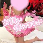 ヒメ日記 2025/01/11 12:11 投稿 こいね 桃色☆めぃぷるシロップ