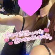 ヒメ日記 2025/01/14 03:01 投稿 こいね 子猫カフェ 小倉店