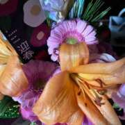 ヒメ日記 2025/01/05 22:49 投稿 えりな 完熟ばなな八王子