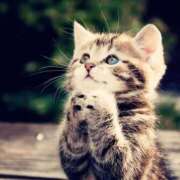 ヒメ日記 2025/05/07 16:29 投稿 えりな 完熟ばなな八王子