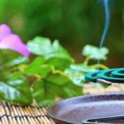 えりな 明日は18時から 完熟ばなな八王子