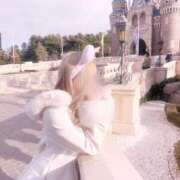 ヒメ日記 2025/02/04 02:04 投稿 なな 学園collection