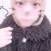 ヒメ日記 2025/02/27 13:04 投稿 なな 学園collection