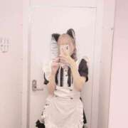 ヒメ日記 2025/02/27 20:05 投稿 なな 学園collection