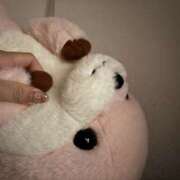 ヒメ日記 2025/02/08 20:43 投稿 あげは セータームーン