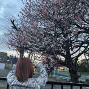 ヒメ日記 2025/03/03 17:53 投稿 あげは セータームーン