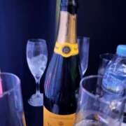 ヒメ日記 2025/05/05 17:16 投稿 あげは セータームーン