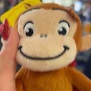 ヒメ日記 2025/05/29 19:11 投稿 あげは セータームーン