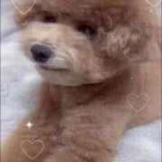 ヒメ日記 2025/01/28 20:12 投稿 ゆりあ パンスト熟女はいやらしい