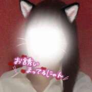 ヒメ日記 2025/10/01 13:07 投稿 ゆりあ パンスト熟女はいやらしい