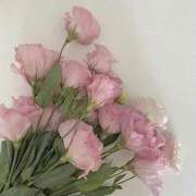 ヒメ日記 2025/02/28 19:10 投稿 ひな ぽっちゃり巨乳専門店 町田相模原ちゃんこ