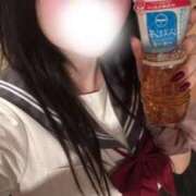 ヒメ日記 2025/01/15 09:09 投稿 ニカ マリン千姫