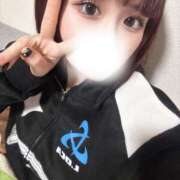 ヒメ日記 2025/02/19 10:26 投稿 ニカ マリン千姫