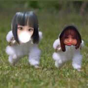 ヒメ日記 2025/02/27 15:06 投稿 ニカ マリン千姫