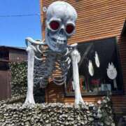 ヒメ日記 2025/10/01 16:57 投稿 ニカ マリン千姫