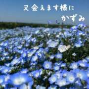 ヒメ日記 2025/05/30 14:22 投稿 かずみ 熟女の風俗最終章 新宿店