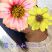 ヒメ日記 2026/04/11 11:37 投稿 かずみ 熟女の風俗最終章 池袋店