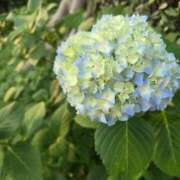 ヒメ日記 2025/05/22 18:29 投稿 ちか カワサキEROTIC（ソープランド）