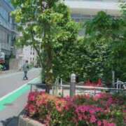 ヒメ日記 2026/05/13 11:33 投稿 かえで 五反田・品川おかあさん