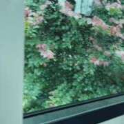 ヒメ日記 2026/06/15 07:53 投稿 かえで 五反田・品川おかあさん