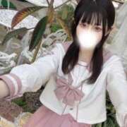 ヒメ日記 2025/07/07 16:01 投稿 メメ きらめけ！にゃんにゃん学園in大宮