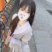 ヒメ日記 2025/07/25 17:00 投稿 メメ きらめけ！にゃんにゃん学園in大宮