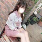 ヒメ日記 2025/07/26 07:02 投稿 メメ きらめけ！にゃんにゃん学園in大宮