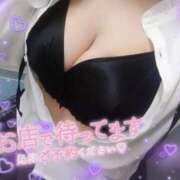 ヒメ日記 2026/04/19 18:01 投稿 くるみ 巨乳専科パンチラボイン横浜