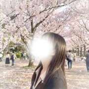 ヒメ日記 2026/04/08 16:48 投稿 もな 京都回春性感マッサージ倶楽部