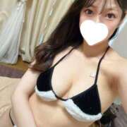 ヒメ日記 2025/02/20 07:01 投稿 ホムラ きらめけ！にゃんにゃん学園in大宮